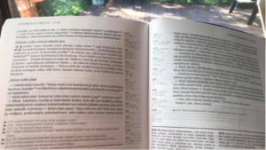 Read more about the article Raamatun viimeisen luvun valtava sanoma