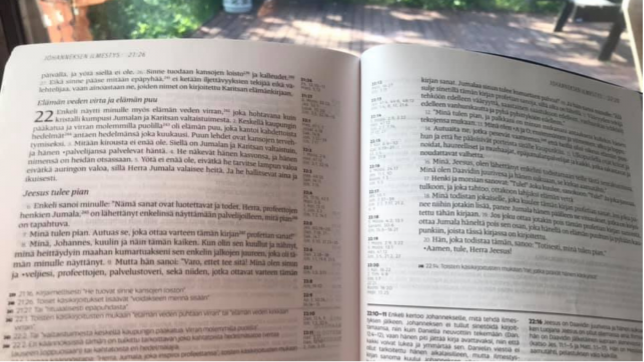 Read more about the article Raamatun viimeisen luvun valtava sanoma